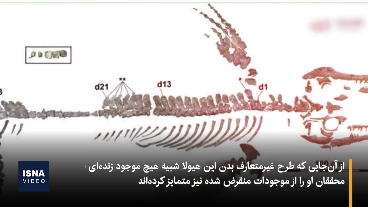 کشف فسیل «اژدهای آبی» منقرض‌شده در ژاپن/ ویدئو